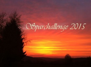 Sparchallenge_Beitrag