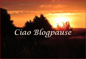 Ciao Blogpause