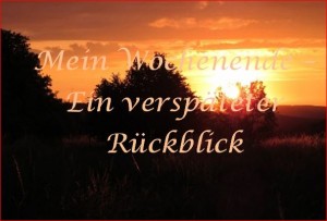 WE_rückblick